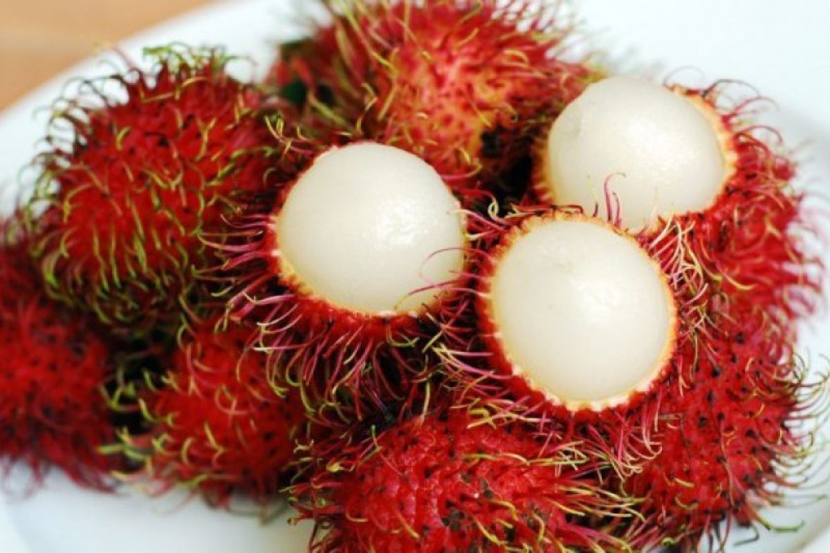 Benarkah buah rambutan bikin batuk? Cek faktanya di sini